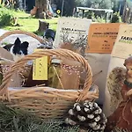 Nyaraló La Voce Della Natura *