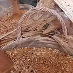 Nyaraló La Voce Della Natura