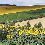 La Voce Della Natura * Fermo