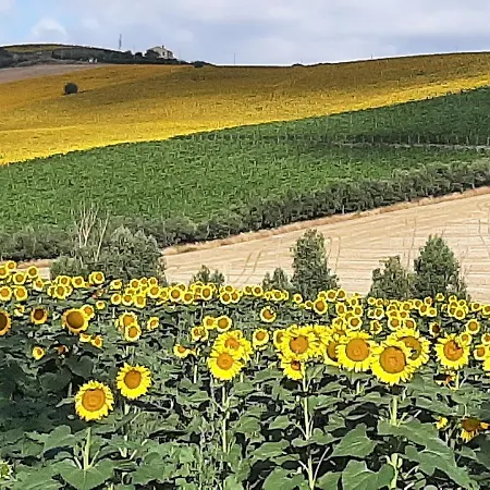 La Voce Della Natura * פרמו