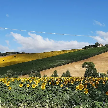 بيت للعطل La Voce Della Natura *