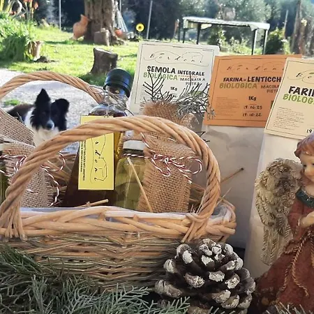 Ferienhaus La Voce Della Natura *