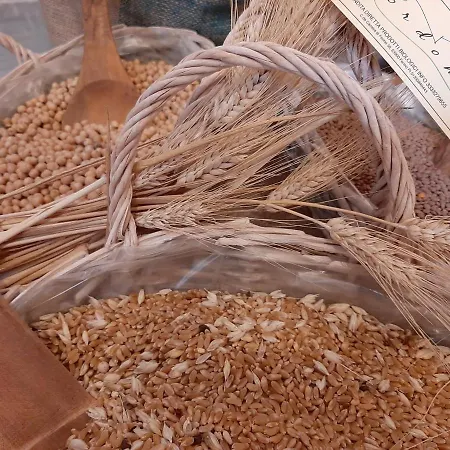 بيت للعطل La Voce Della Natura